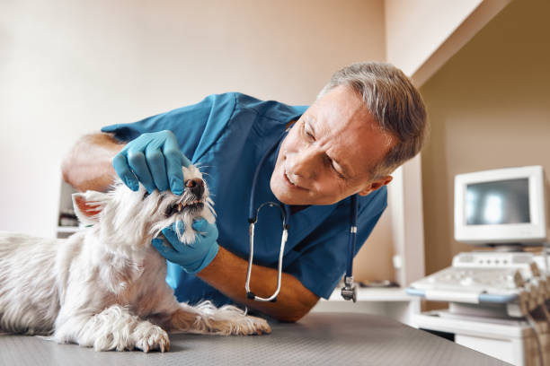 Best Dentist for Tooth Abscess  in Pine Mountain, GA